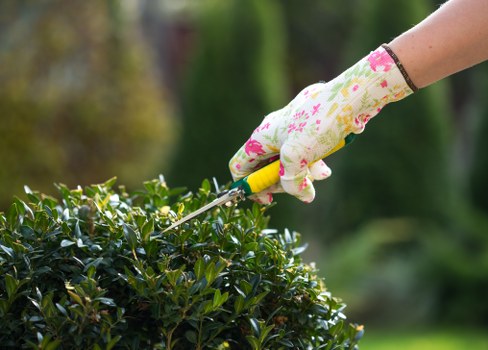 Gardener assessing a garden, representing insured gardening services