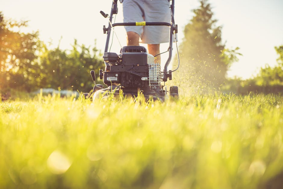A gardener using a petrol-powered lawn mower on a lush, green lawn during late afternoon sunlight. The grass is vibrant and well-maintained, with freshly cut sections visible where the mower has passe